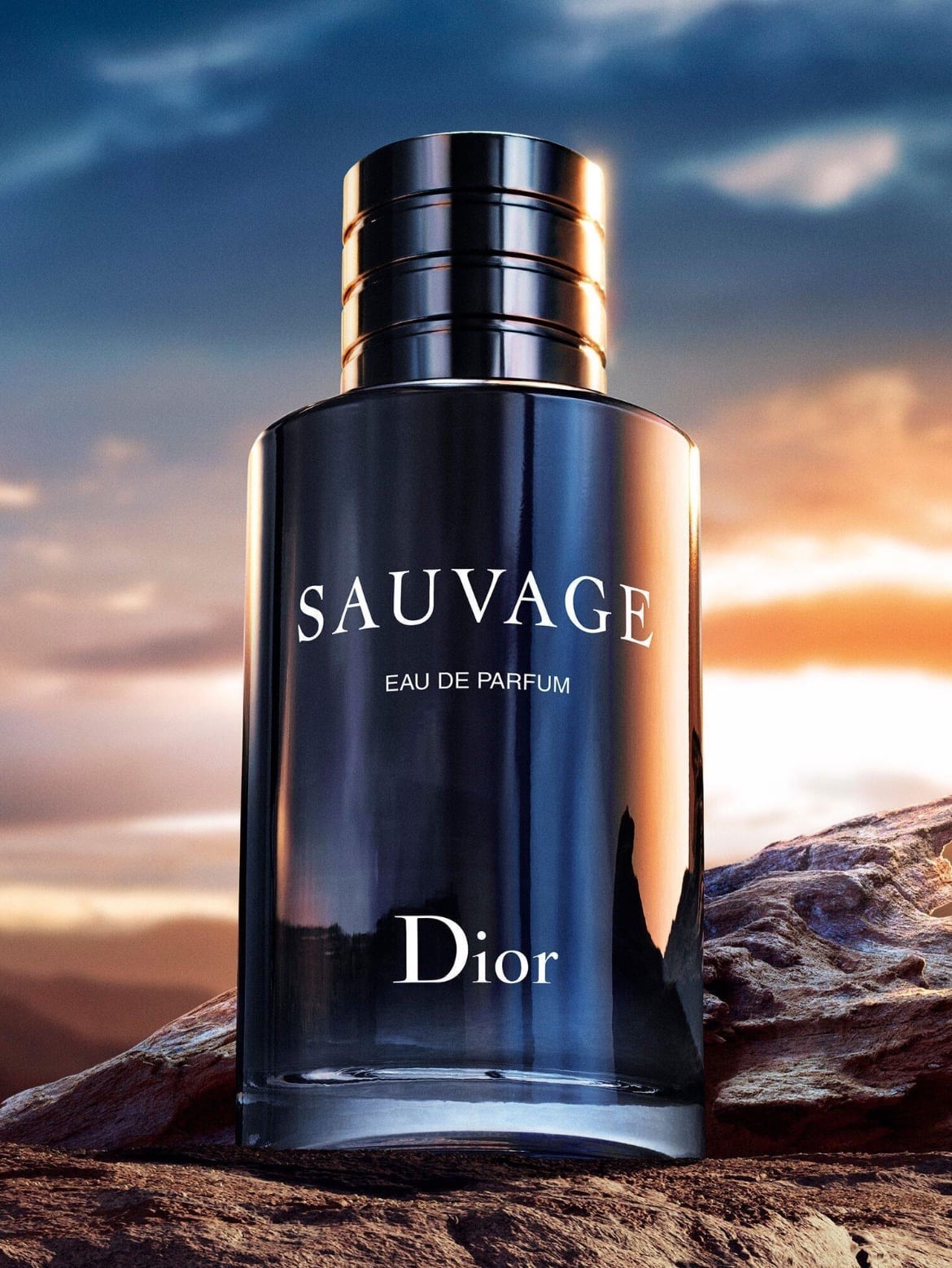 COLONIA DIOR SAUVAGE
